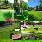 Four Seasons Evergreen Dwarf Grass Seed | Create Your Perfect Lawn ( 500 Squre Fit Area)