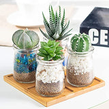 MENIFLIX glass containers for kitchen, Small Glass Spice Jars with Lids – Transparent kitchen storage Containers for Storing Salt, Pepper, Herbs, Seasonings & Pantry Essentials (150ml Each)