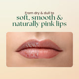 Moha Lip Scrub for Pigmented Lips | Darkness Remover with Shea Butter, Honey, Vitamin C & E | Gently Exfoliates Dry & Chapped Lips, Reduces Fine Lines, Brightens Complexion & Restores Natural Color – 12 g