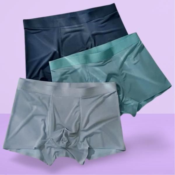⭐Men's Ice Silk Briefs Boxers (Buy 1 Get 2 Free)